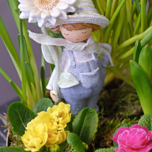 Садик с первоцветами: крокусы, мускари, нарциссы и примула "Цветочный хоровод"