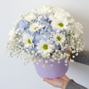 Хризантема, гипсофила и голубая гортензия в милой сиреневой коробочке